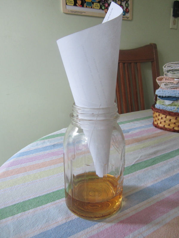 Easy to Make Fruit Fly Trap