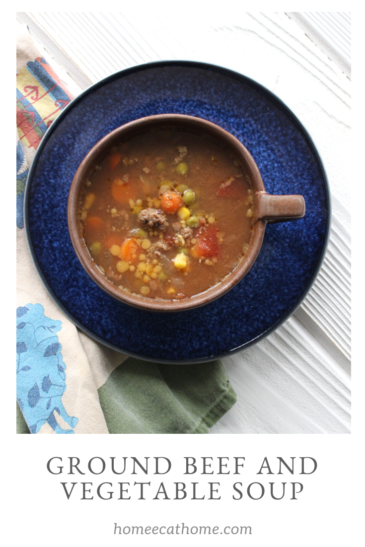 Ground beef and vegetable soup - HomeEc@Home